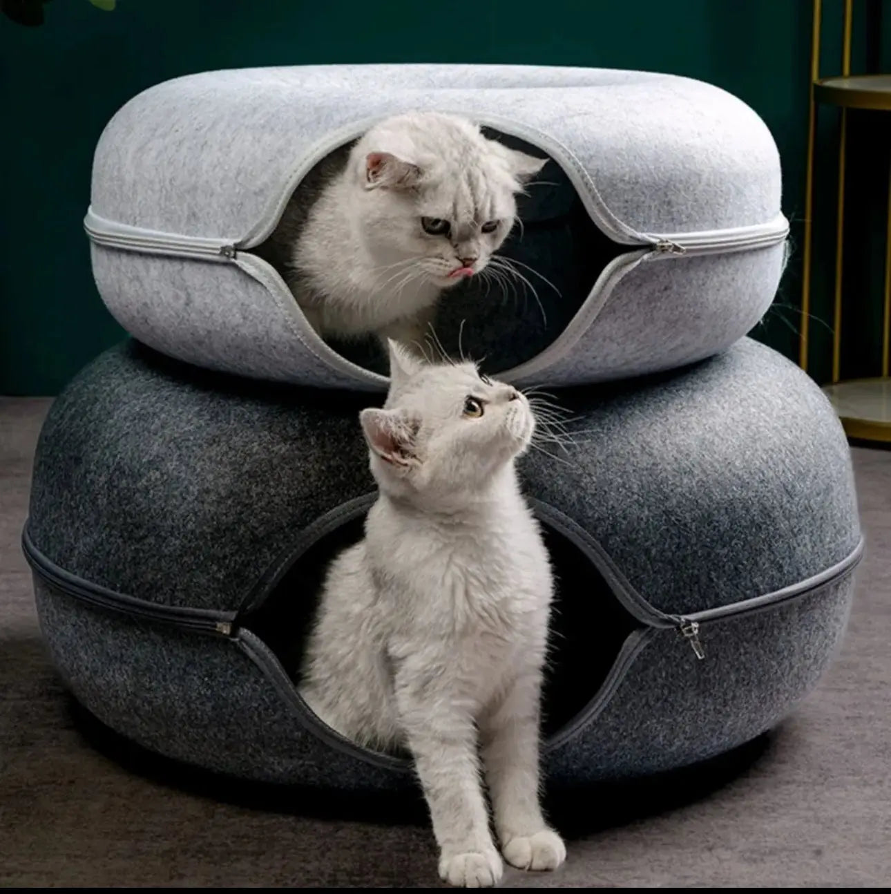 Interactive Tunnel Cat Donut Bed 